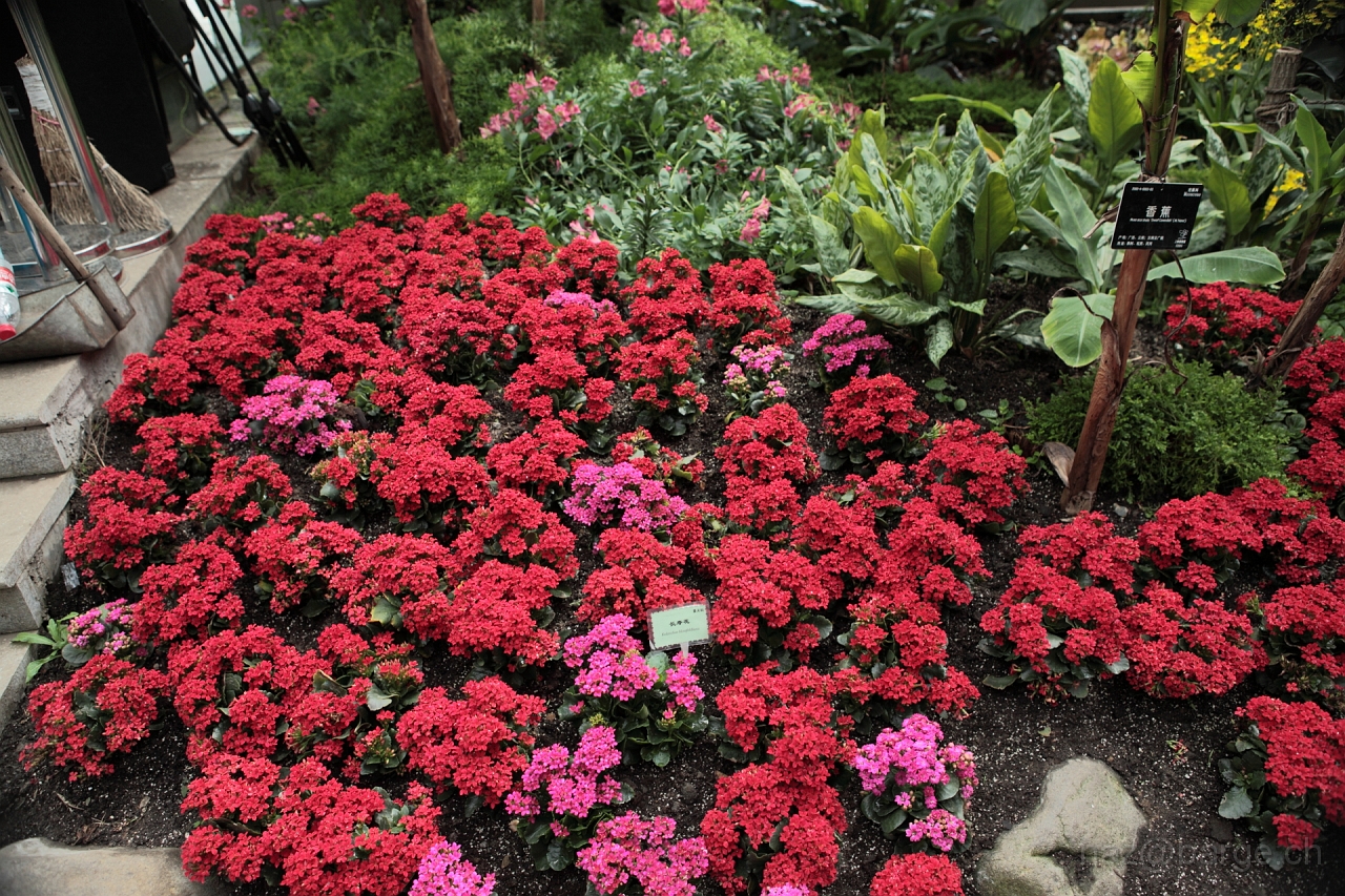 EOS 5D Mark II16_04_20135018.JPG